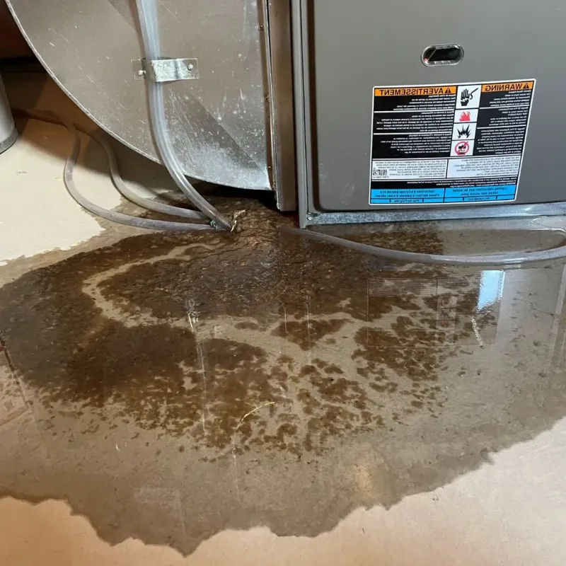 Pipe Burst and Leak Restoration in Aitkin, MN
